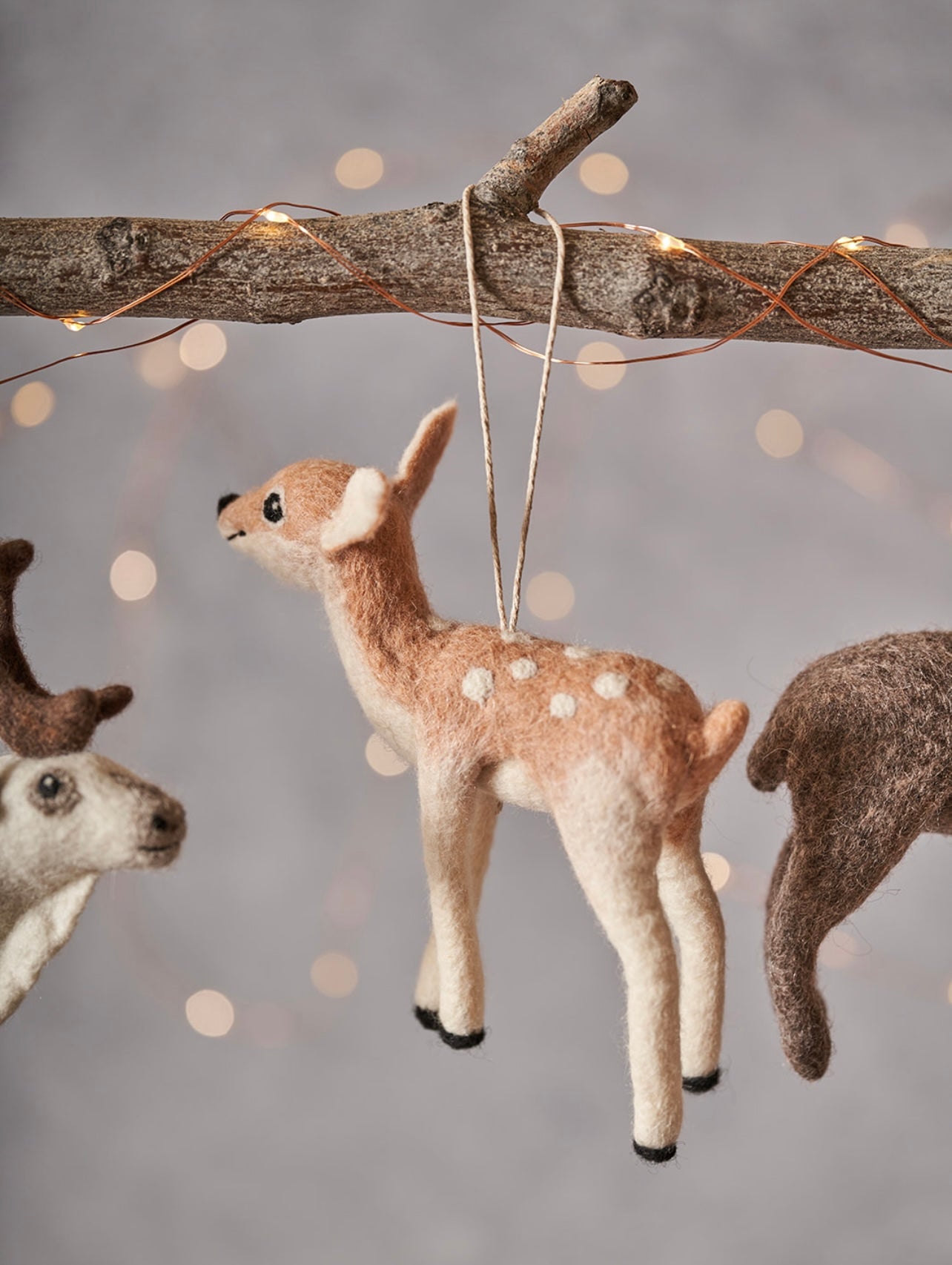 Fawn
