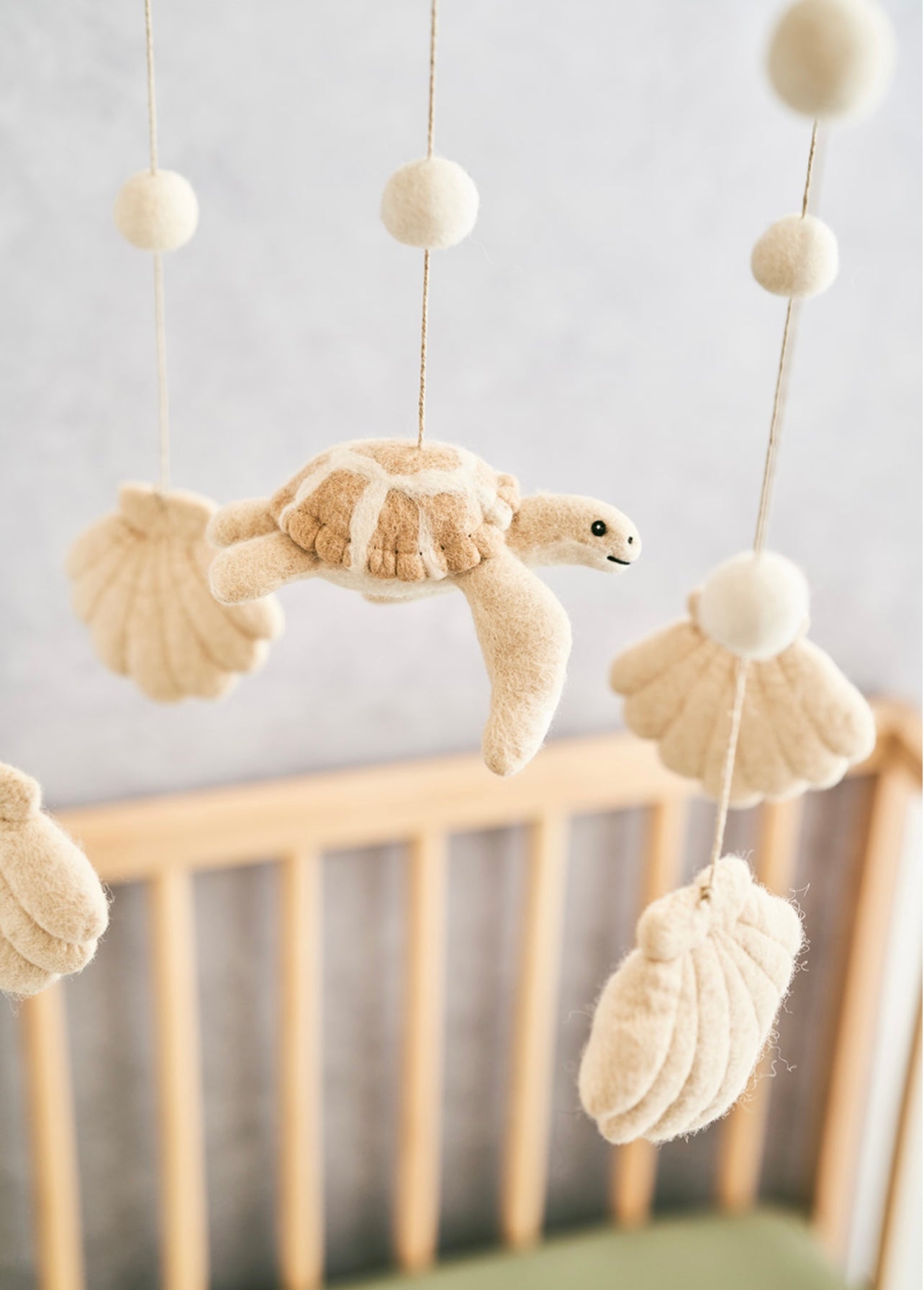Turle and Shells Mobile
