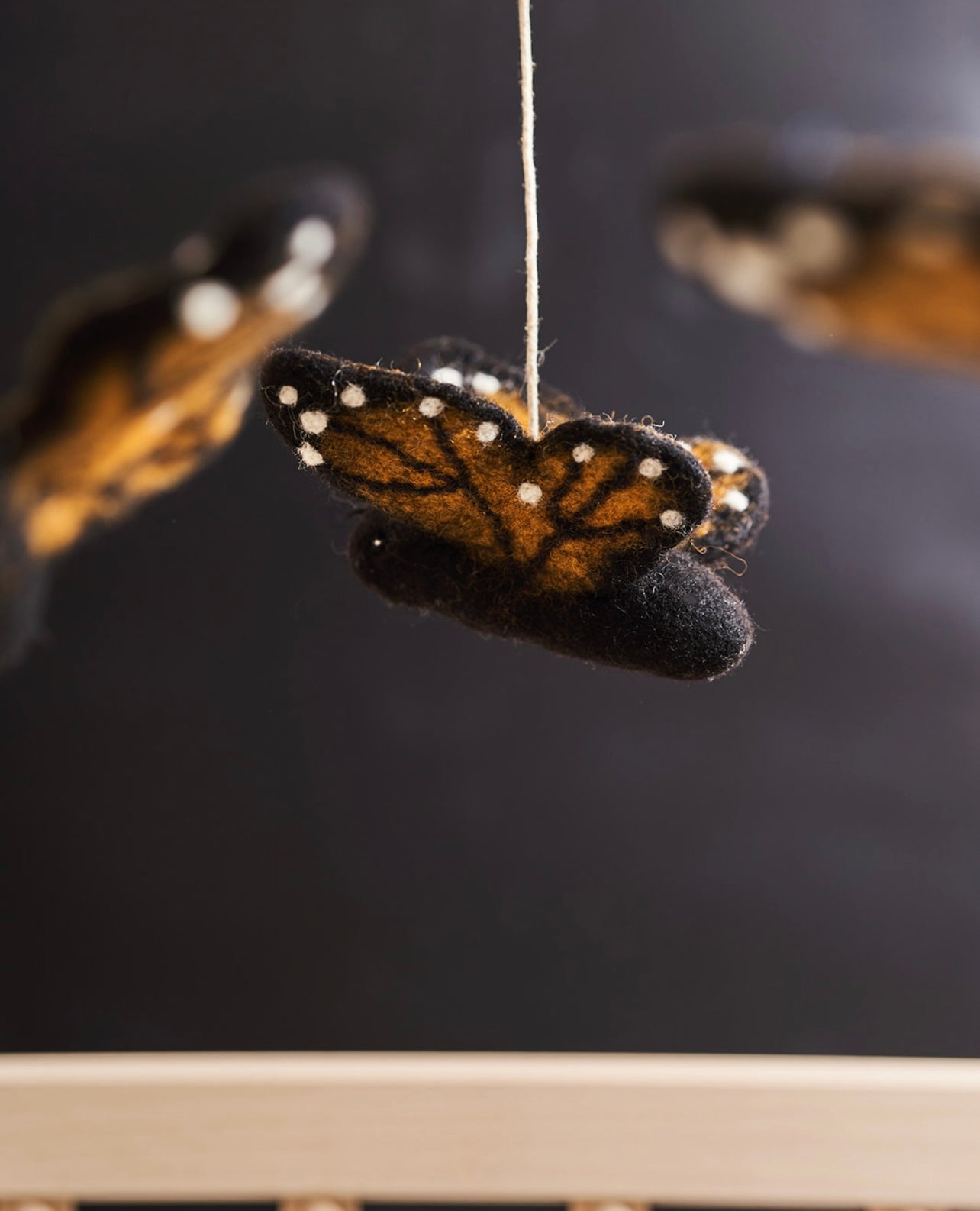 Monarch butterfly