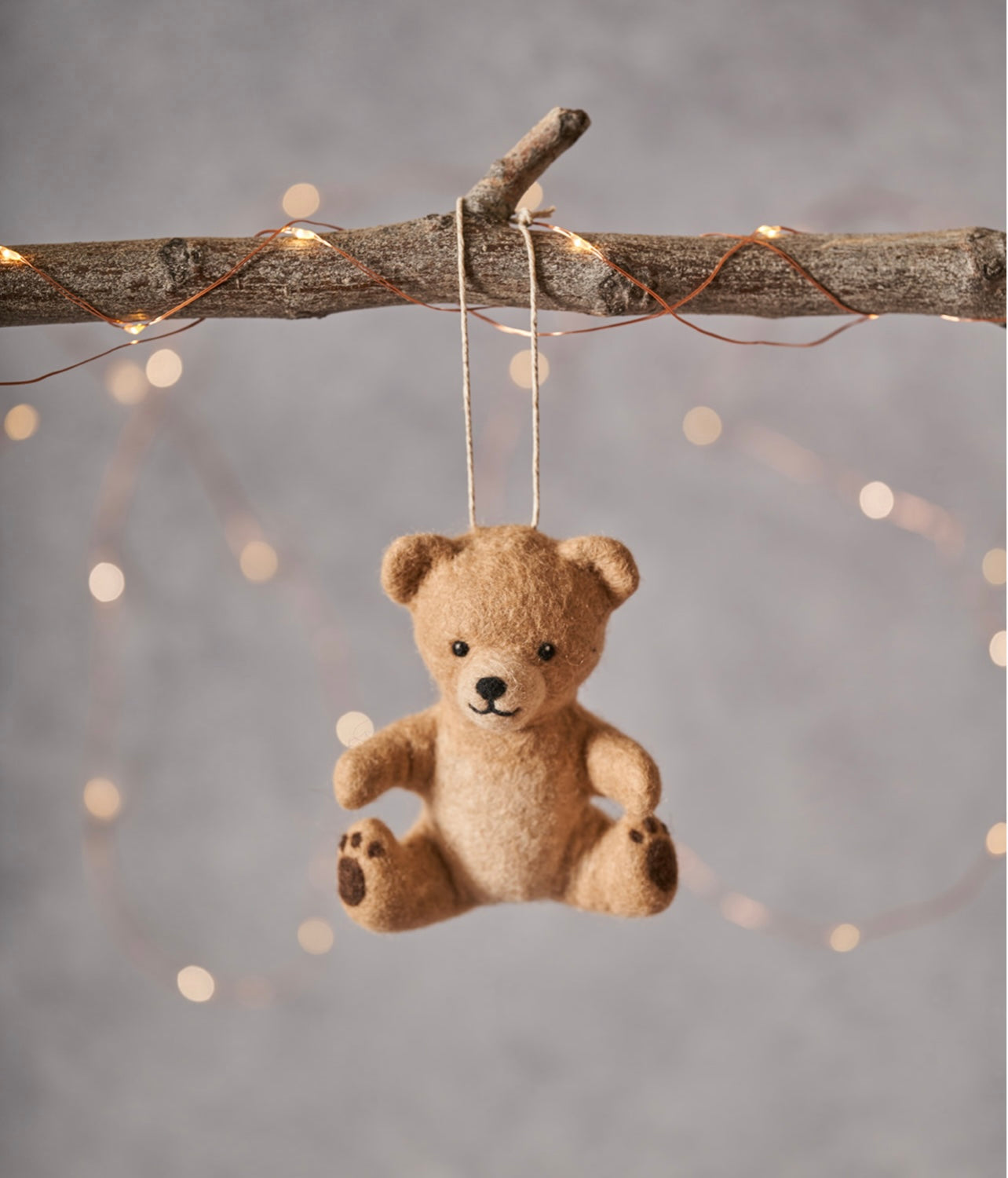 Teddy Bear 🧸