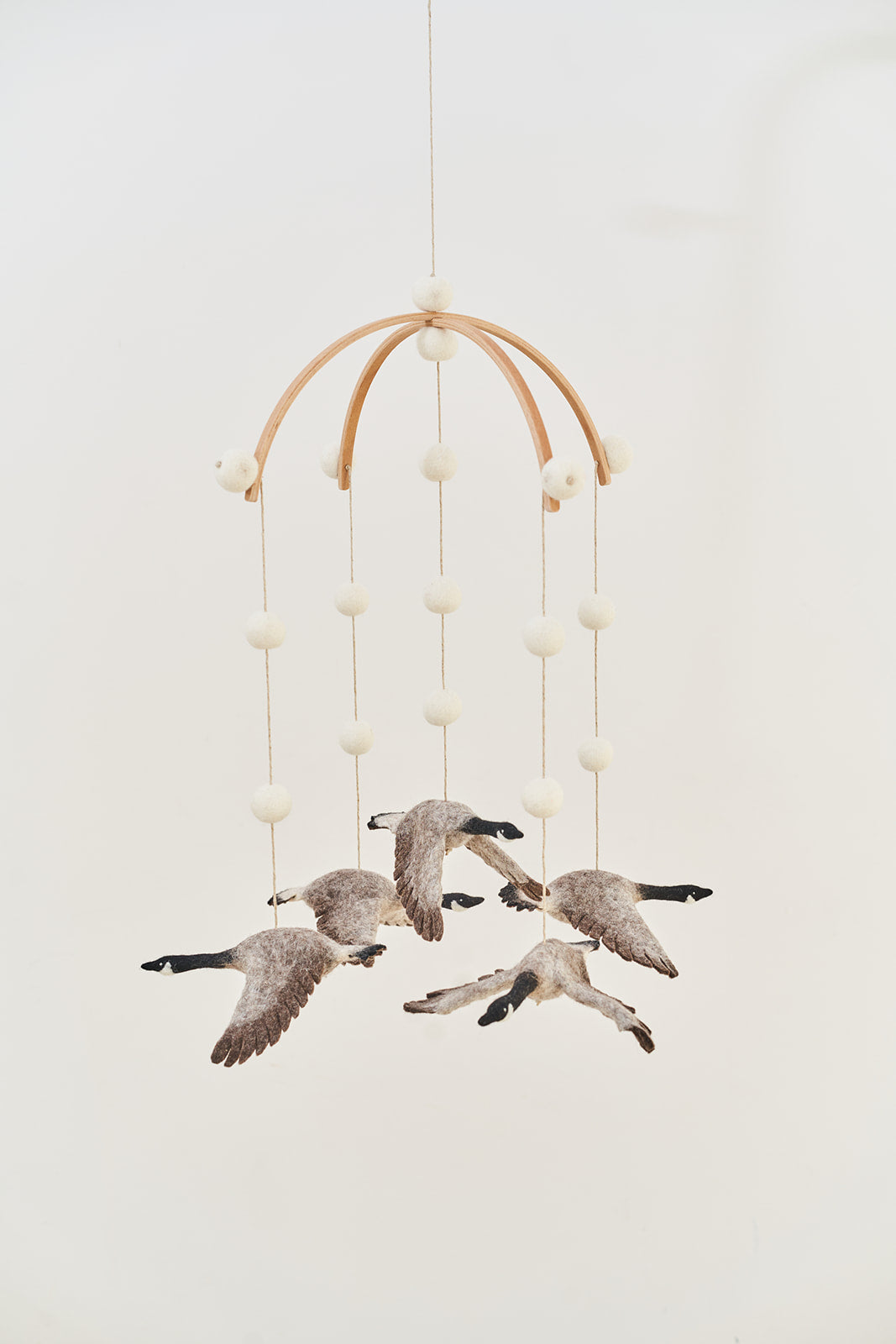 Canadian Goose Mobile