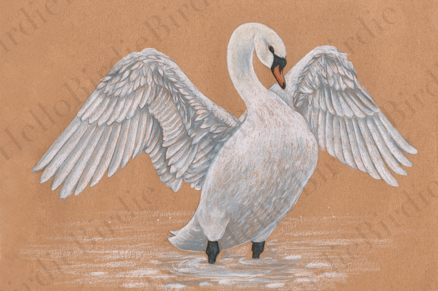 Swan Digital Download