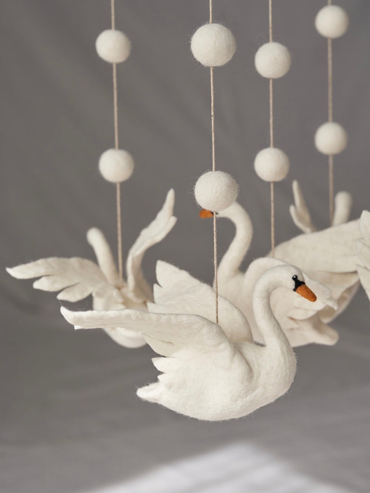 Swan Lake Mobile