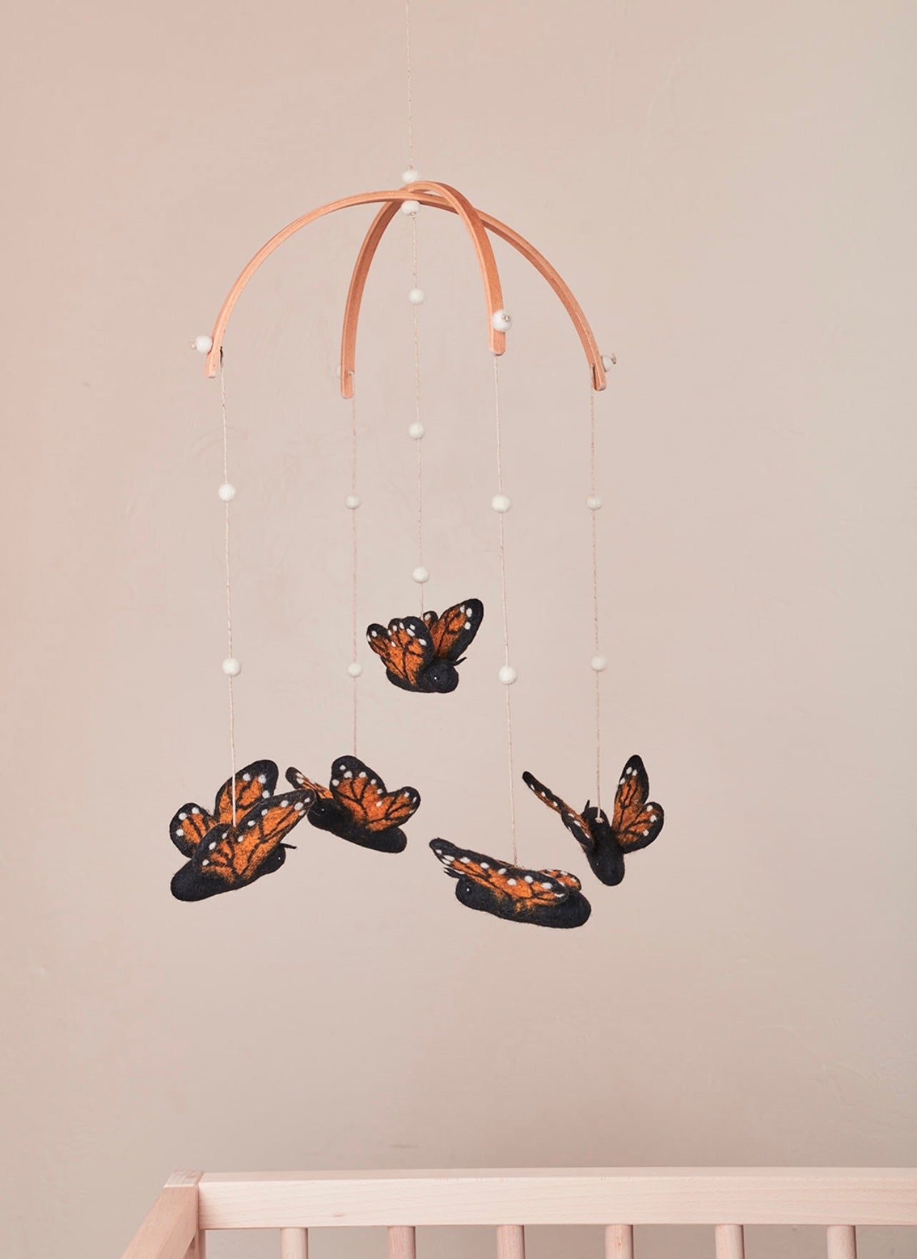 Monarch butterfly