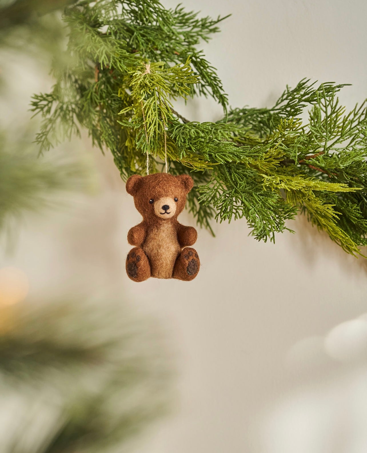 Brown bear