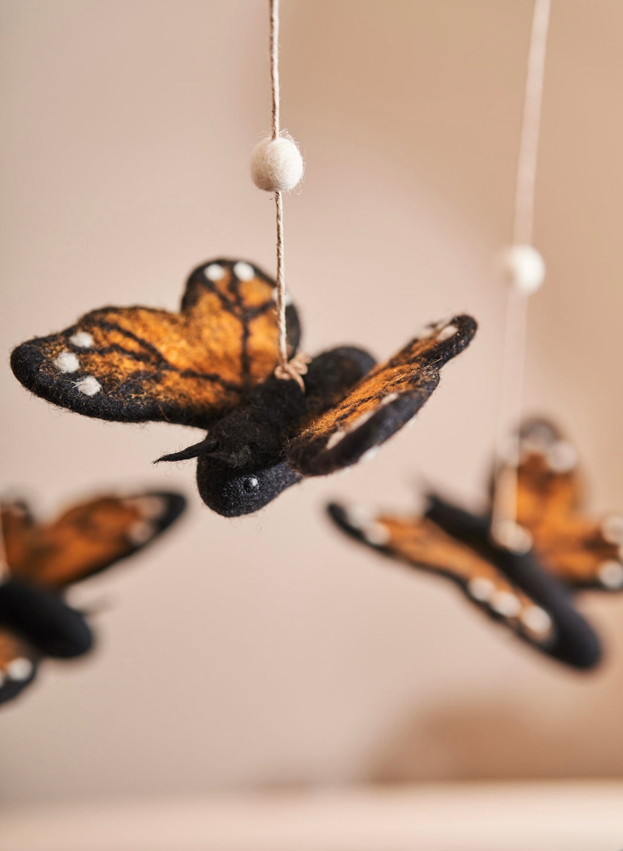 Monarch butterfly