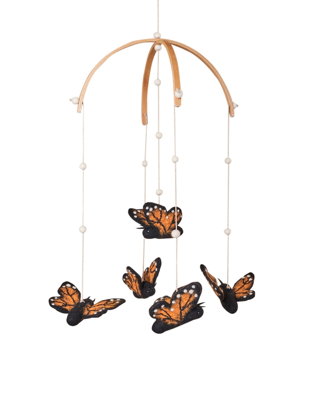 Monarch butterfly