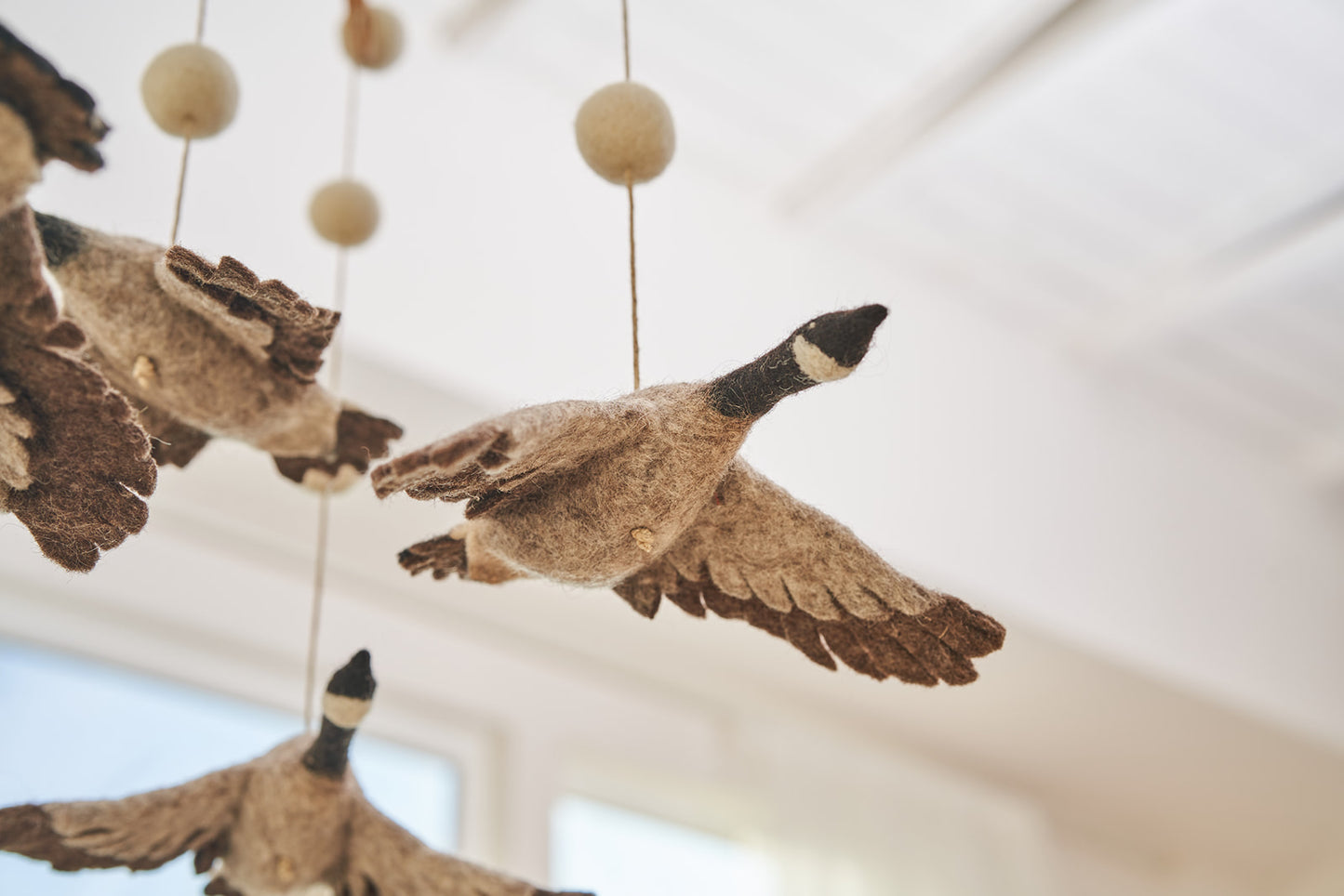 Canadian Goose Mobile