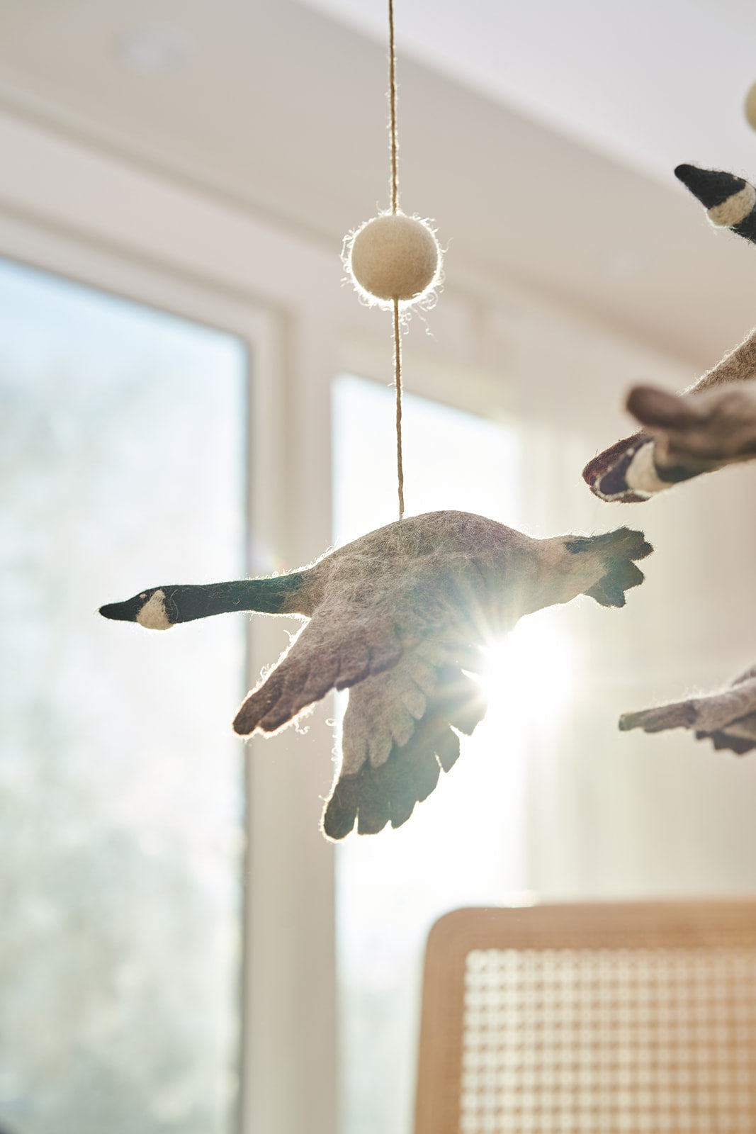 Canadian Goose Mobile