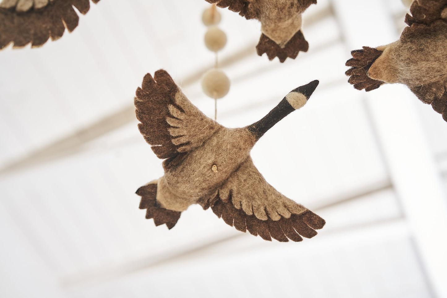 Canadian Goose Mobile